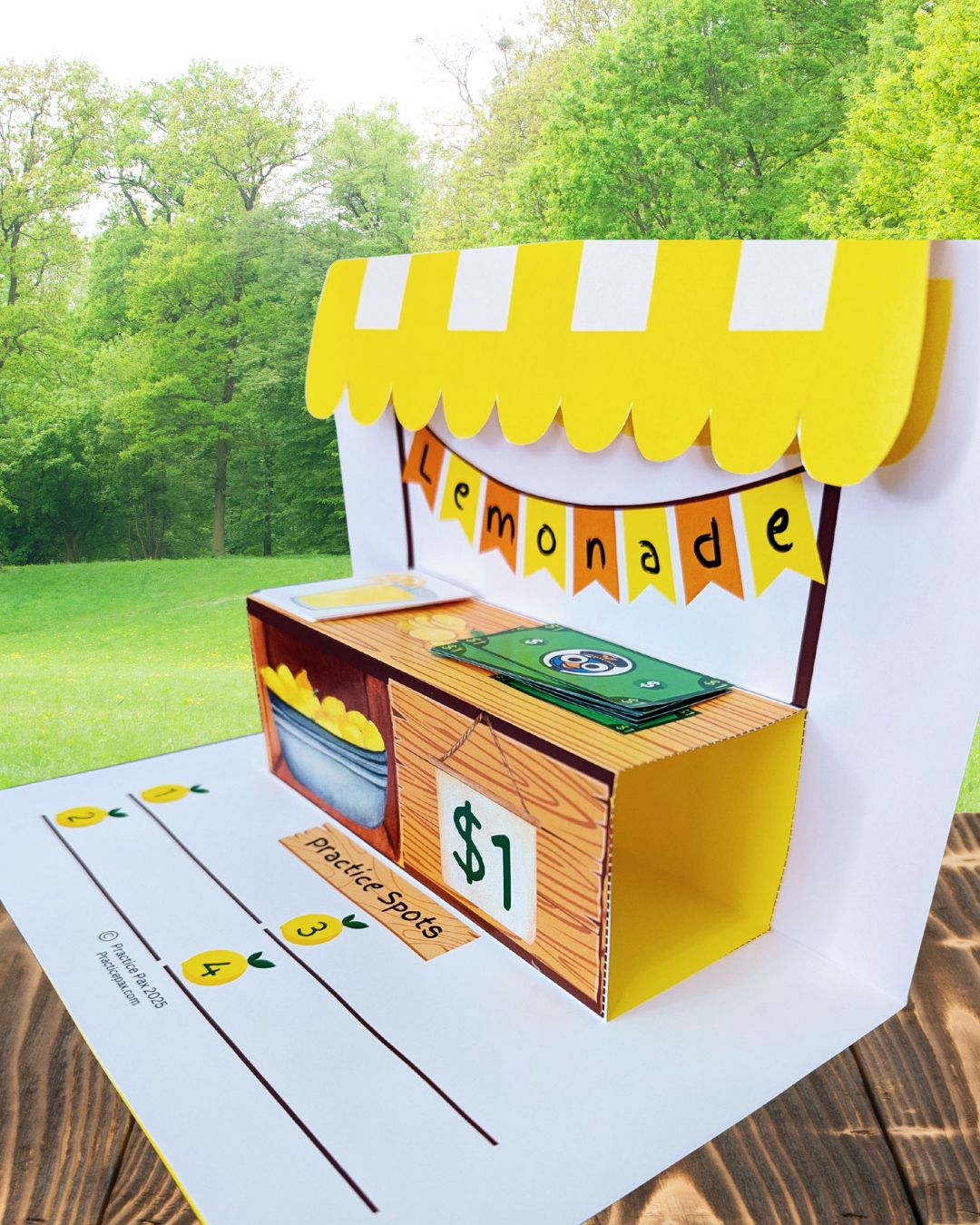 Lemonade Stand Practice Activity - Digital Download