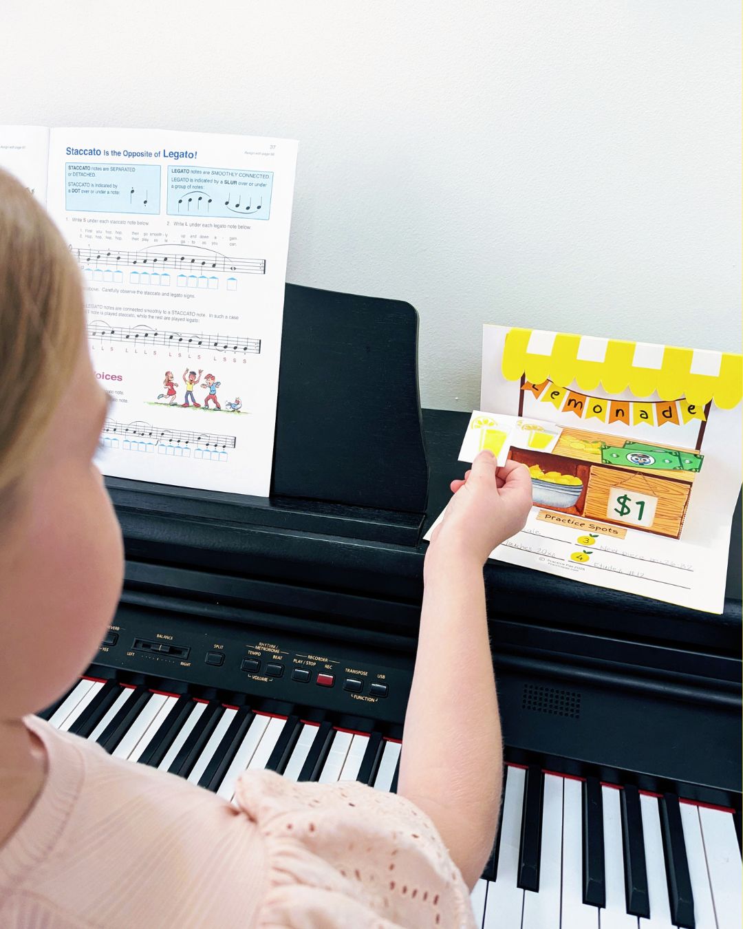 Lemonade Stand Practice Activity - Digital Download