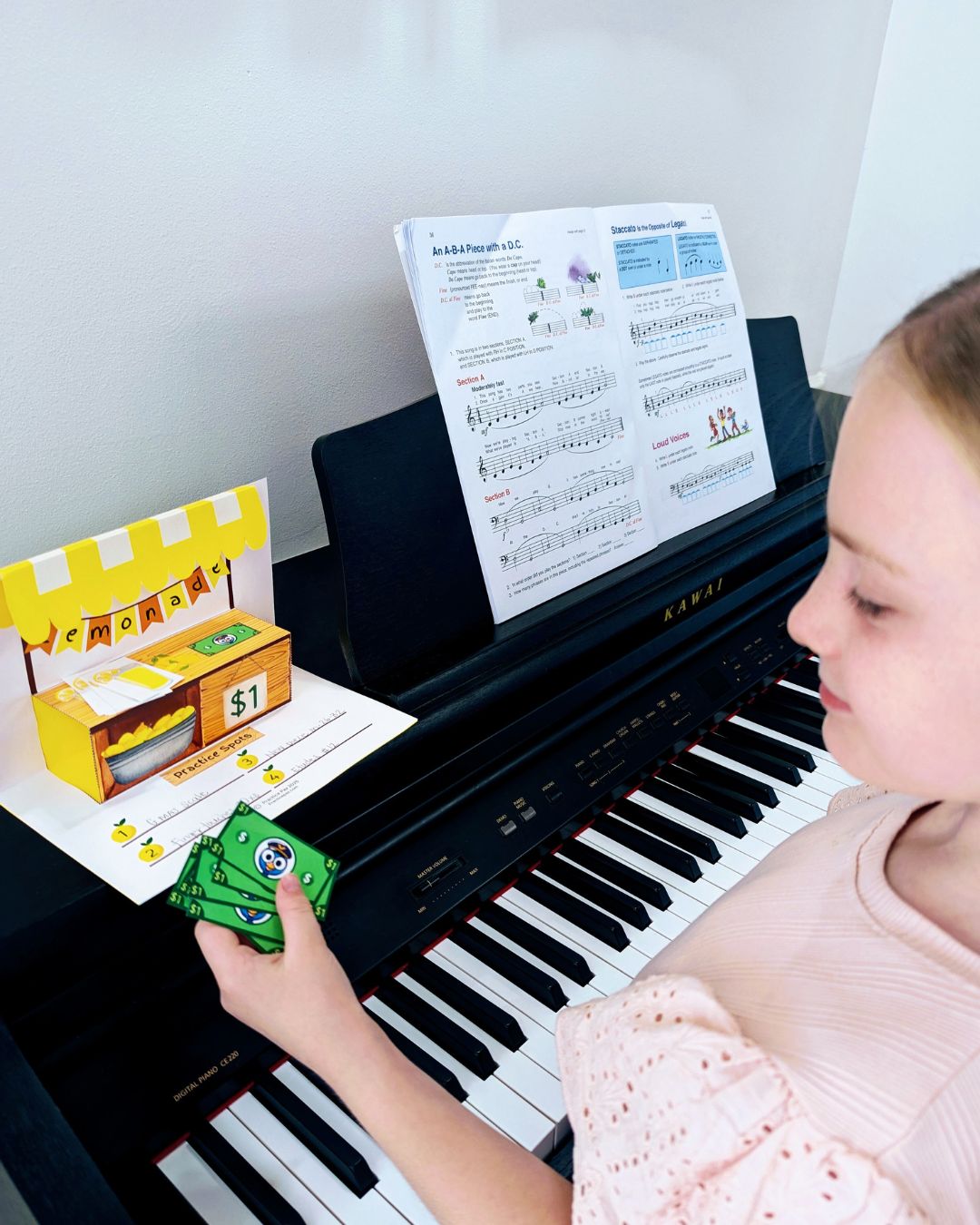 Lemonade Stand Practice Activity - Digital Download